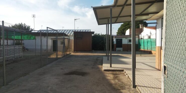 Estudio en las Tres Piedras