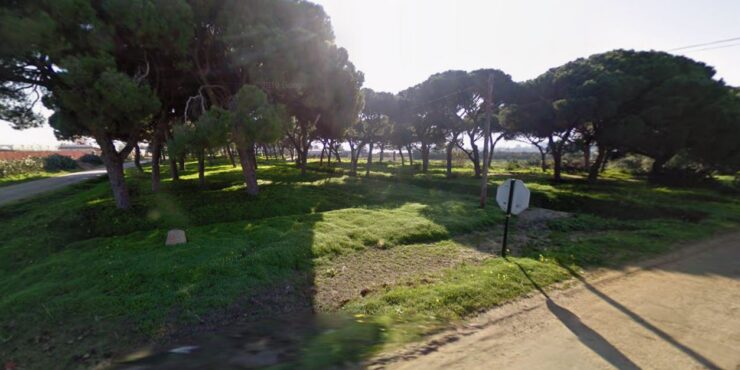 Finca rústica en el pinar de chipiona